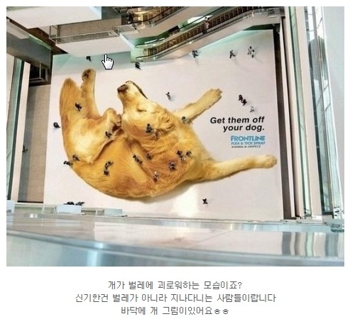 특이하고 뇌리에 박히는 재밌는 광고들.jpg | 인스티즈