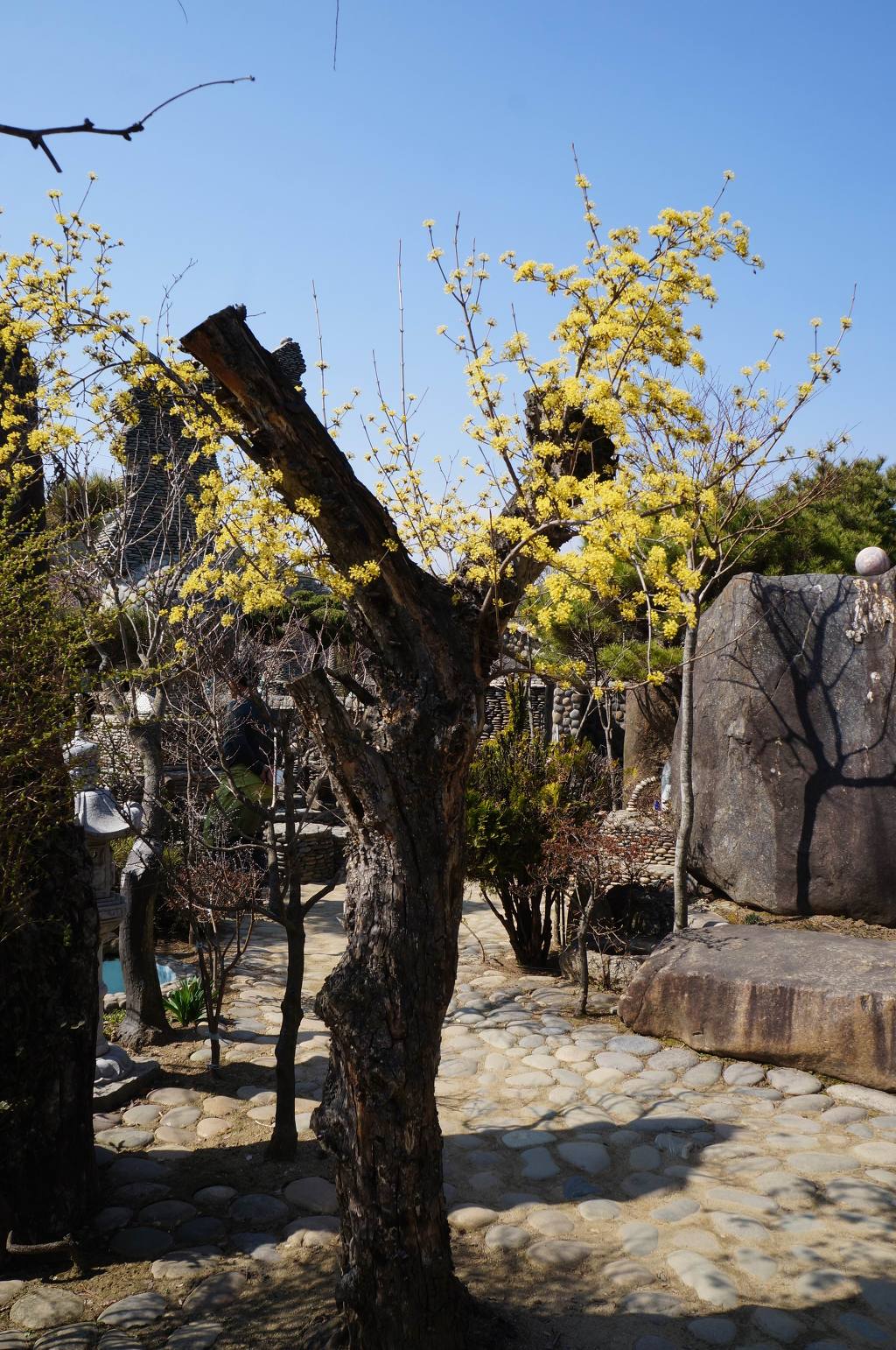 돌집 이미지