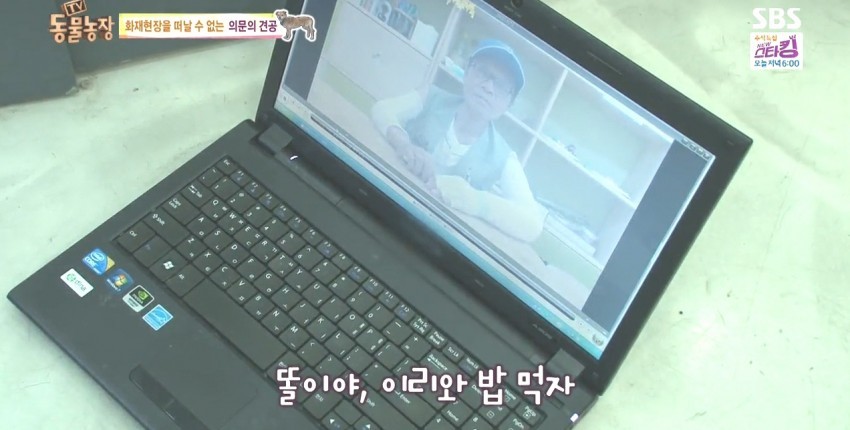 화재로 무너진 집에서 주인을 기다리는 멍멍이.jpg | 인스티즈