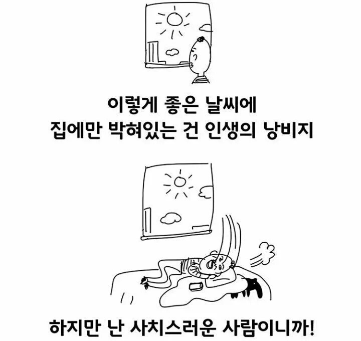 이렇게 좋은 날씨에 집에만 박혀있는건 인생의 낭비지.jpg | 인스티즈
