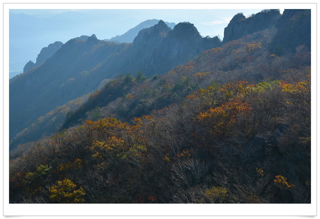 (주)삼화여행사 이미지