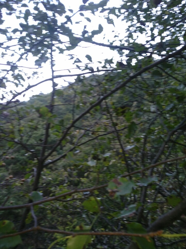 술담 이미지