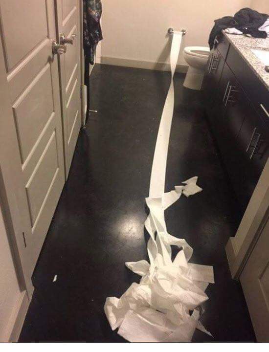 노력하는 댕댕이 | 인스티즈