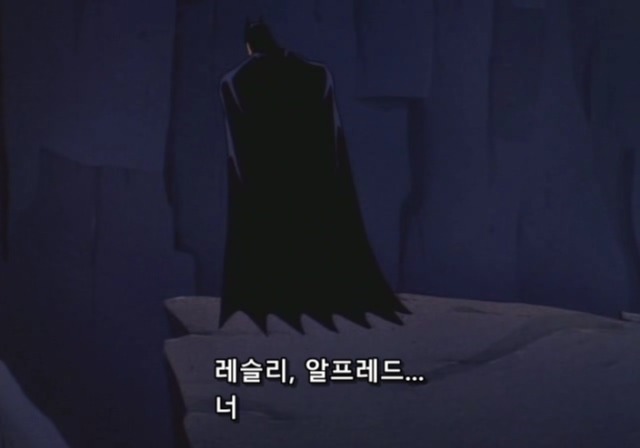  범죄가 끊이지 않는 도시에 꼭 필요한 존재 | 인스티즈