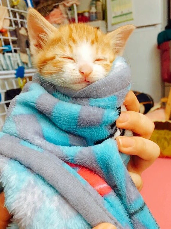 발톱깎다가 스르륵 잠들어 버림.twt | 인스티즈
