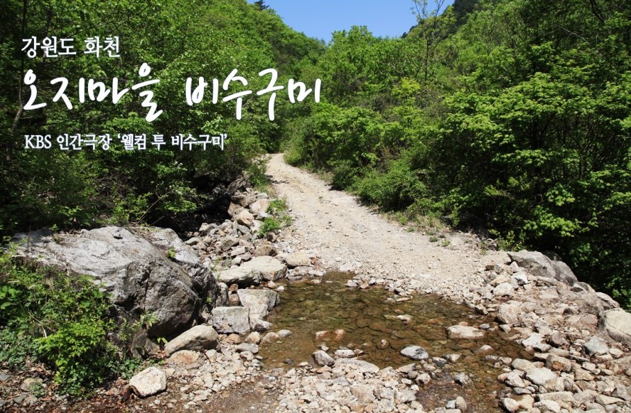 강원화원 이미지