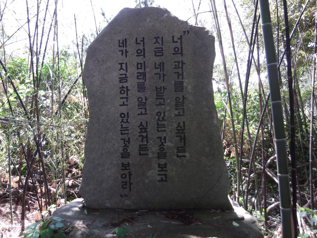 선비문구 이미지