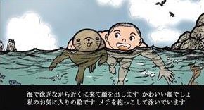 강치가 뭐게 | 인스티즈