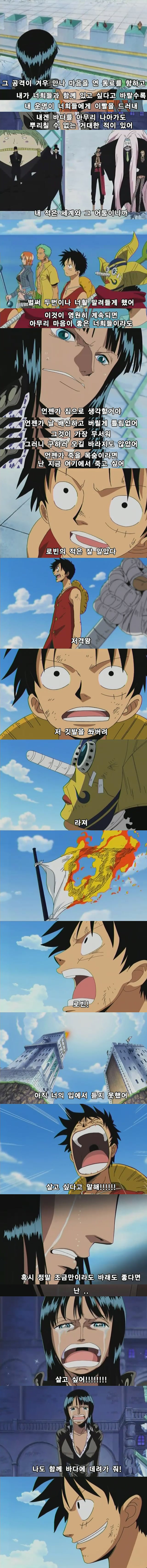 원피스 - 밀짚모자 해적단의 동료가 되는 순간 | 인스티즈