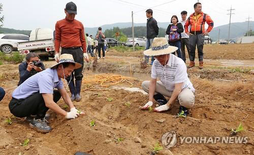 🌿 농업왕 문재인 🌿 | 인스티즈