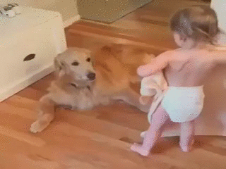 이불 덮고 자야지~안그러면 감기걸려.gif | 인스티즈