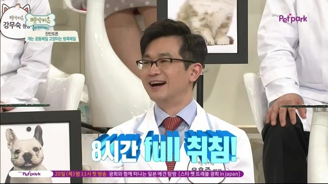 운동체질 강아지와 방콕체질 고양이?! | 인스티즈