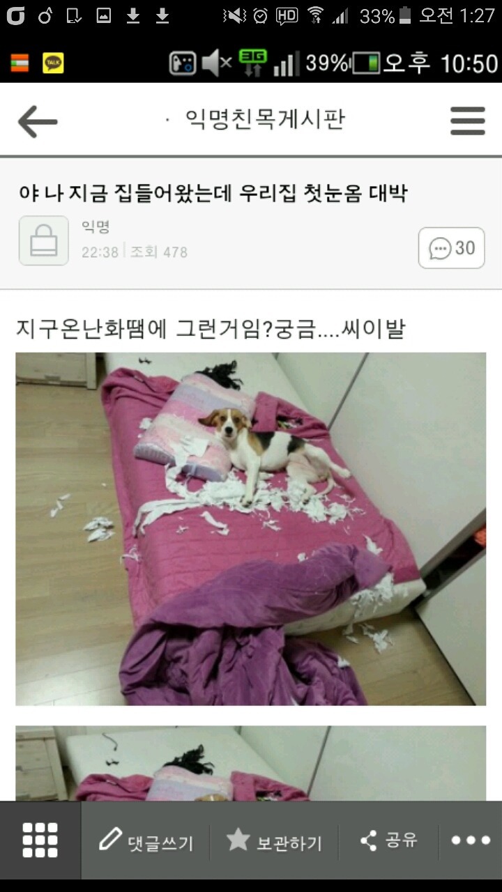 평화로운 익친이네 개들.jpg | 인스티즈