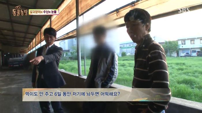 눈앞에서 제 아이가 맞아죽었습니다. 도와주세요 | 인스티즈