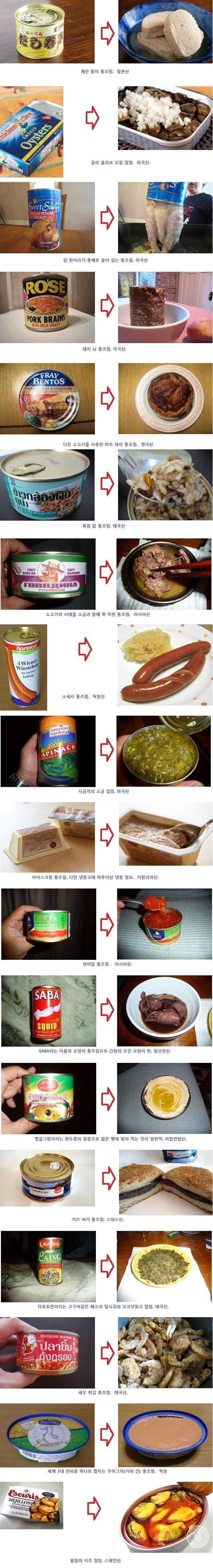 세계의 특이한 통조림 식품들 | 인스티즈