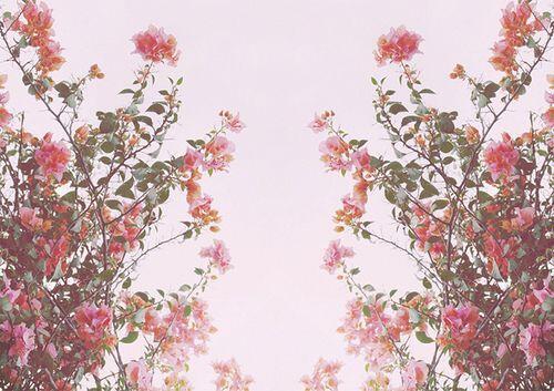 너는 내가 읽은 가장 아름다운 구절이다 | 인스티즈
