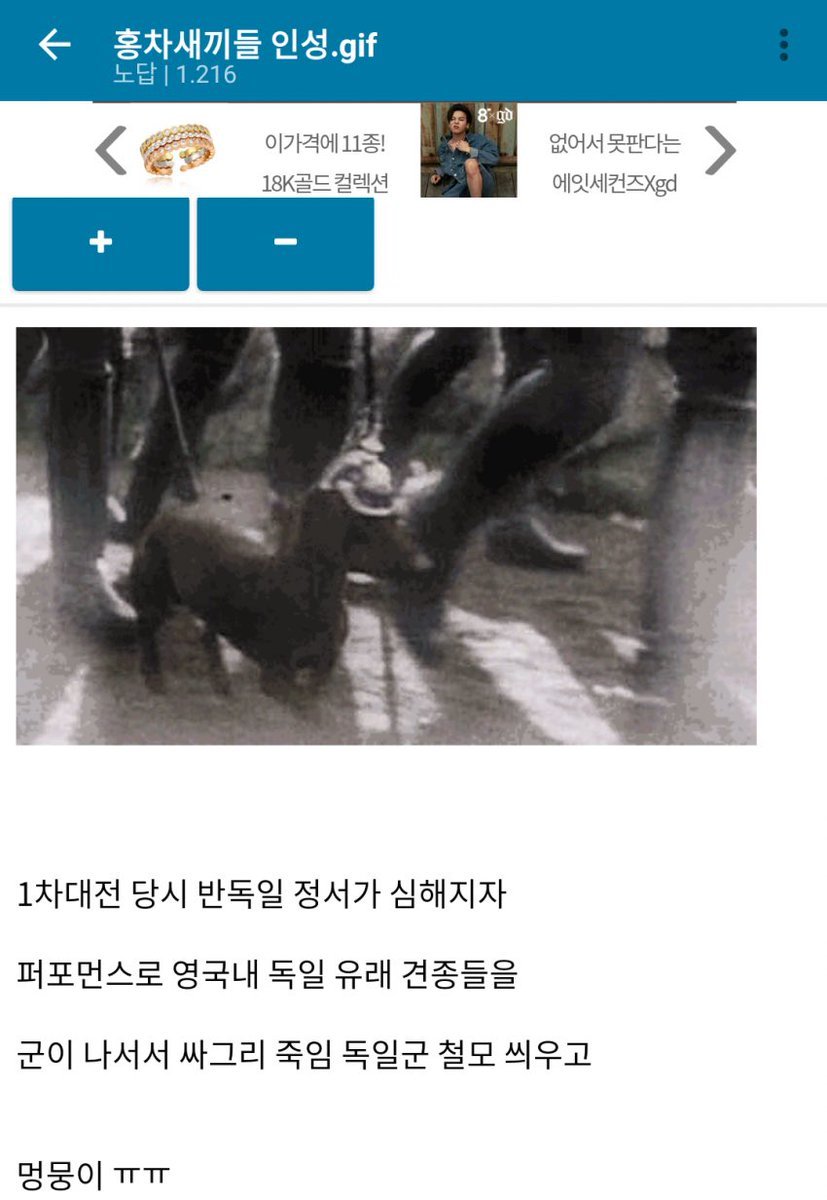 영국놈들 인성 | 인스티즈