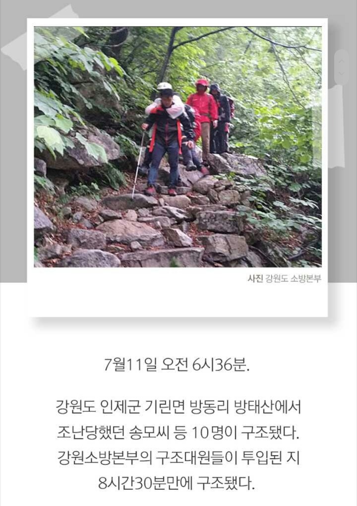 사람들 구조하는 인명구조견 삼총사 | 인스티즈