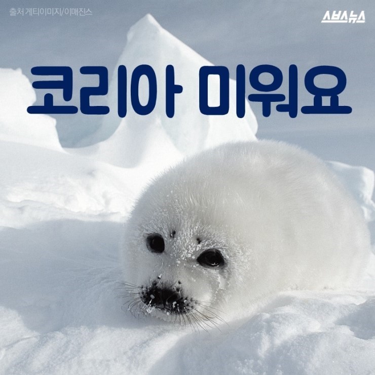  코리아 미워요 | 인스티즈
