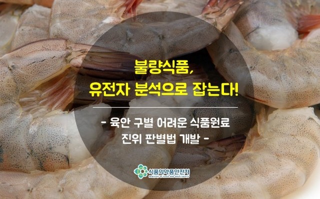 한결식품 이미지