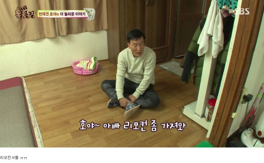 동물농장 완전 똑똑한 멍멍이 | 인스티즈
