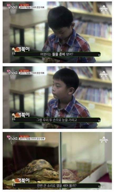 슬픔주의)눈물주의) 엄마의 죽음을 받아들이는 어린이 | 인스티즈