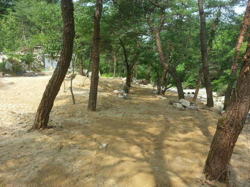 솔바람 야영장 이미지