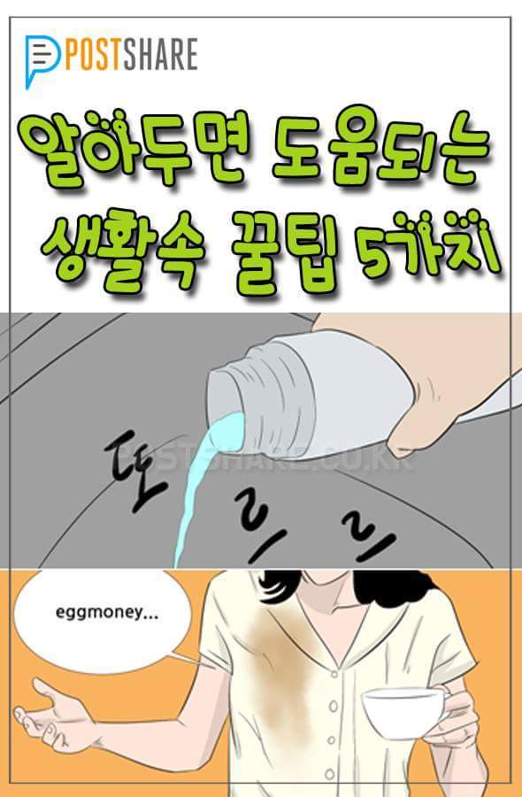 알아두면 도움되는 생활속 꿀팁 5가지 | 인스티즈