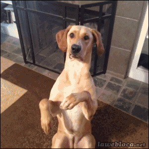 과한 연기. gif | 인스티즈