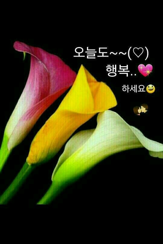 예쁜하루 이미지