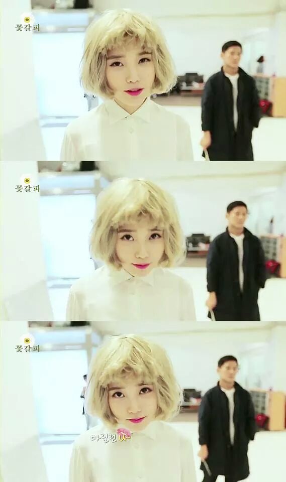 아이유 단발&똥머리 vs 긴생머리 | 인스티즈