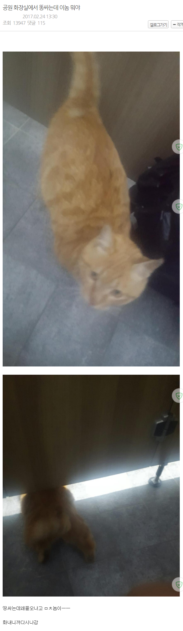 공원 화장실에서 일을 보던 디씨인 | 인스티즈