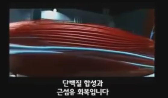 근육이 자라는 과정 | 인스티즈