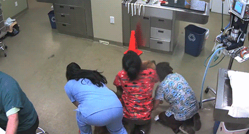 뜻밖의 시리즈3 | 인스티즈