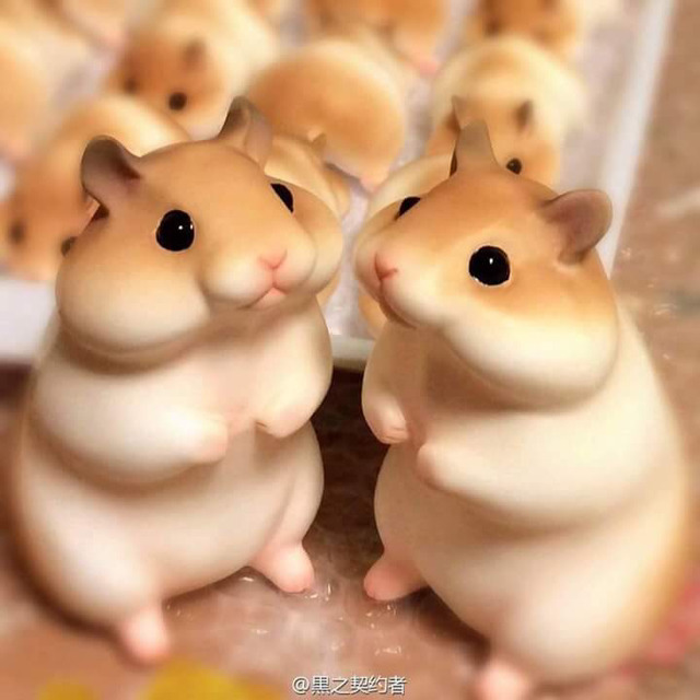 이** 이미지