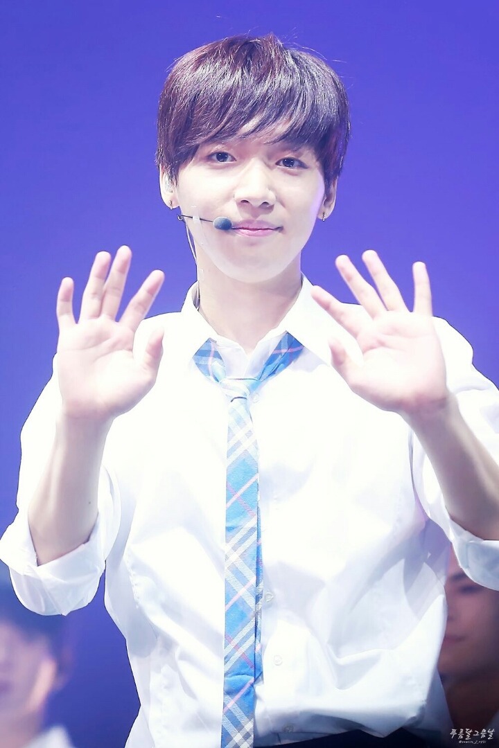 온컨택 이미지