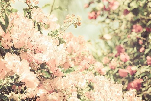 좋아하는 계절을 골라보자 | 인스티즈