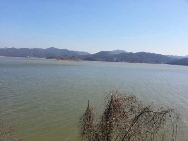 호당 이미지
