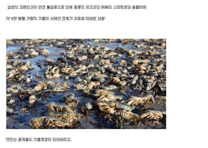 흔한 우리 국민들의 단결력 | 인스티즈
