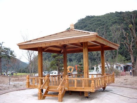 정자 이미지
