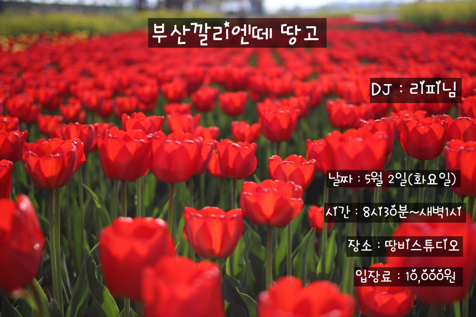 깔리엔떼 이미지