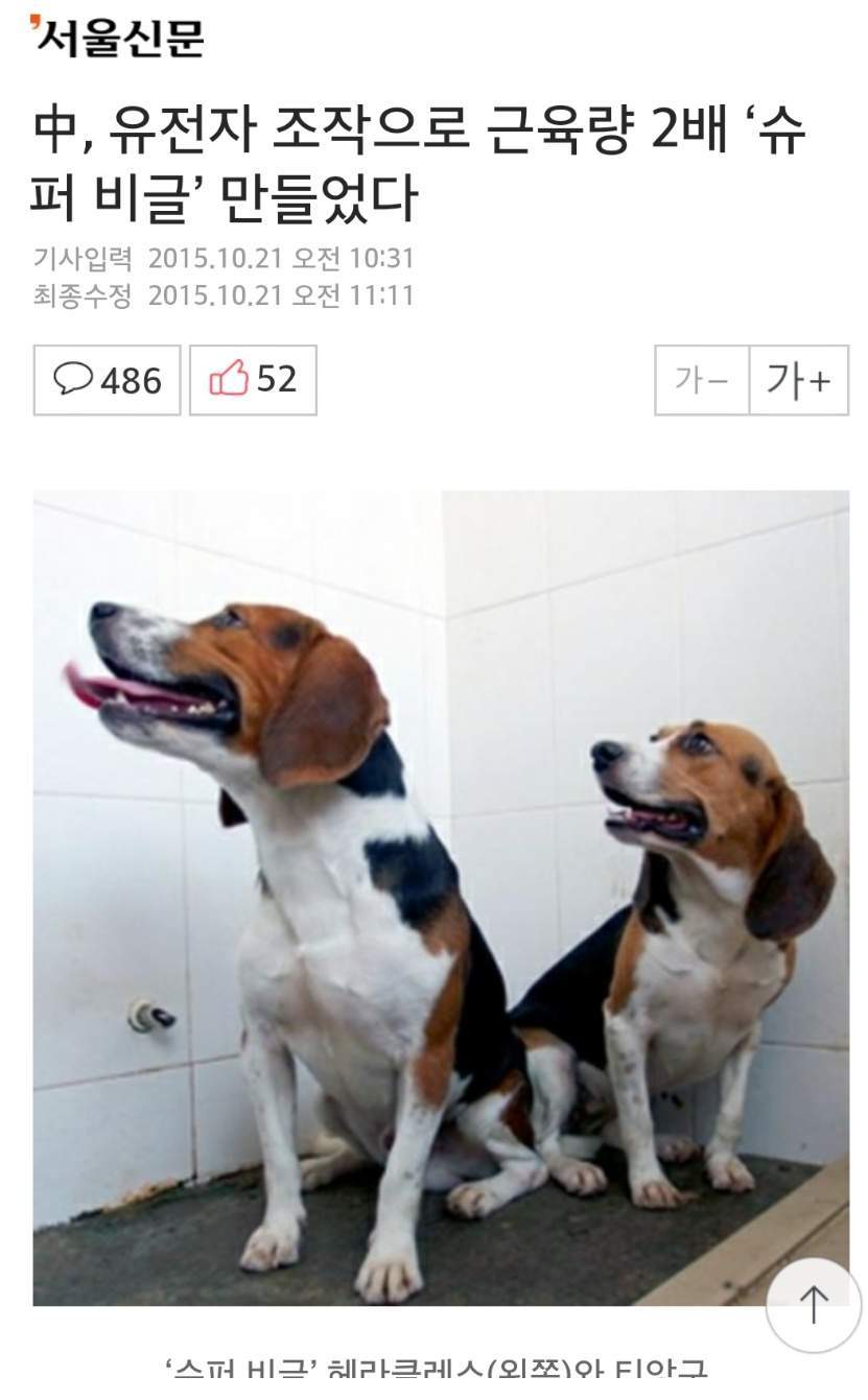 인류최악의 동물을 소환한 대륙 | 인스티즈
