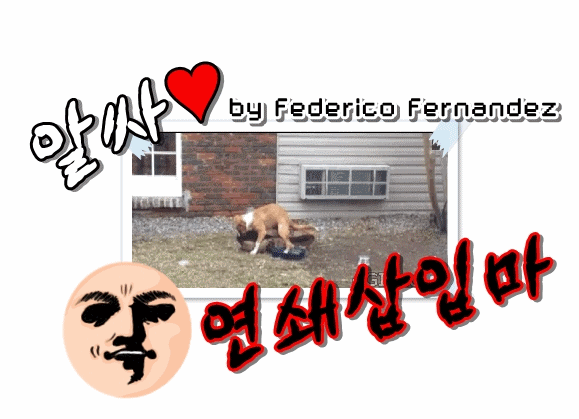 오늘자 마리텔 갓정원.gif | 인스티즈