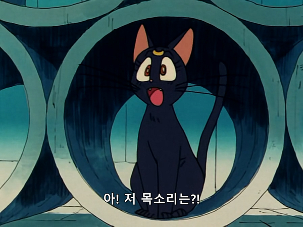 미소녀 전사 세일러문 (美少女戦士セーラームーン) 33 | 인스티즈