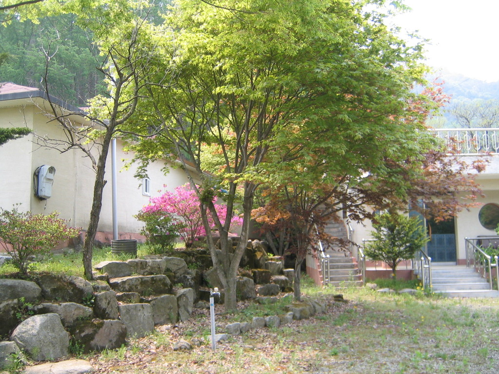 숲속&펜션민박 이미지