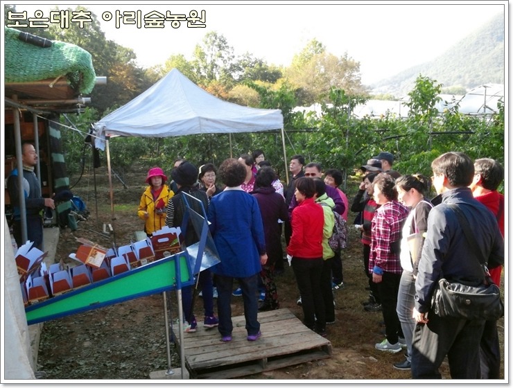 보은대추아리숲농원 이미지