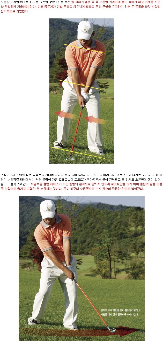 라이 이미지