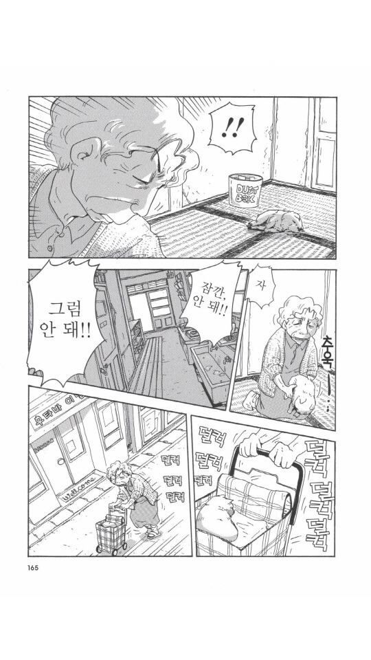 개를 주워오면 안되는 이유 | 인스티즈