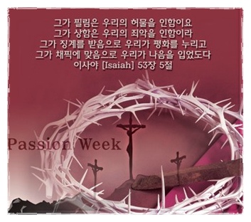주)뼈세상 이미지