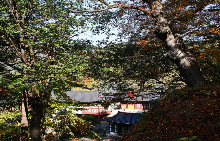 산사가는길 이미지